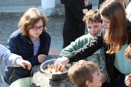 417549420_923343536247806_1312883174684207691_n