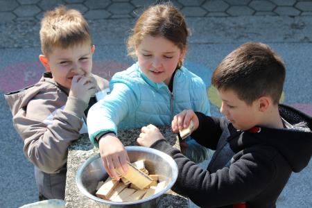 417681042_923343292914497_4187127631565112875_n