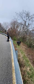 431035161_376246415273924_9033425424200641112_n