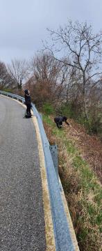 431141546_1123221391992724_5129690985400628472_n